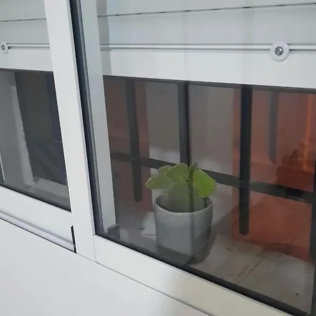 Feel At At Tamara - Two Steps To The Pool טורמולינוס